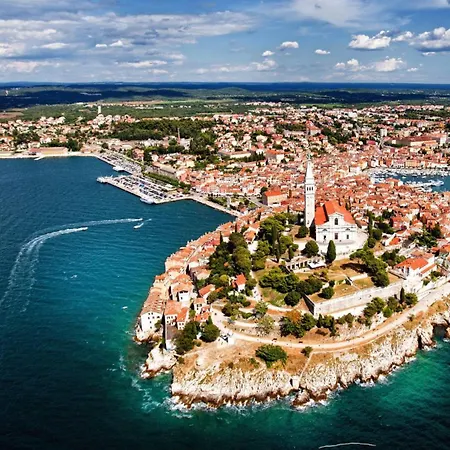Ground Floor Retreat With Bbq Apartment Rovinj